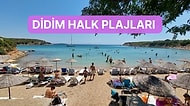 Sıcak Kumlardan Serin Denize: Didim’in En Güzel Halk Plajları Listesi