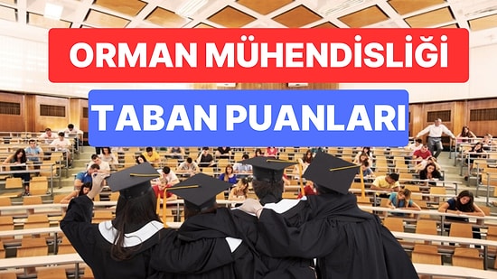 Orman Mühendisliği Taban Puanları ve Başarı Sıralamaları 2023: Üniversitelerin Orman Mühendisliği Puanları