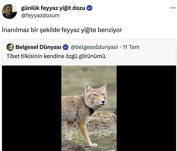 İlkkan'a sövecek gibi bakıyor.