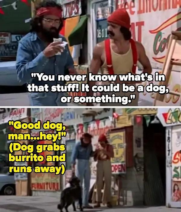 17. Cheech & Chong's Up in Smoke'ta, Chong'un burritosunu yiyen köpek senaryoda yoktu.