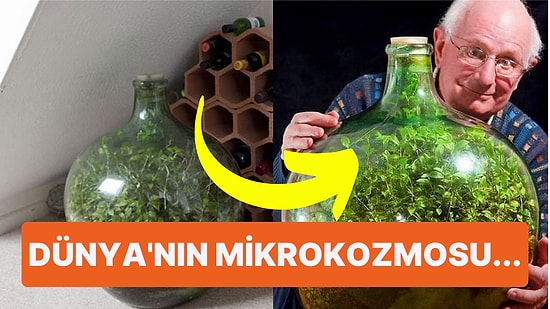 David Latimer'in Deneyi Dünyanın En Eski Teraryumunun Ortaya Çıkmasına Neden Oldu!