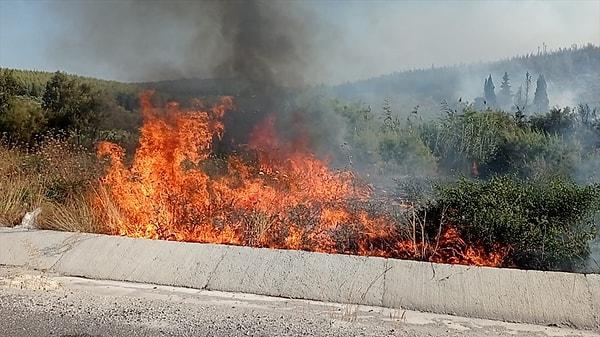 Tarım ve Orman Bakanı İbrahim Yumaklı'nın, Muğla'da ormanlık alanda çıkan yangının sürdüğü bölgeye gittiği bildirildi.