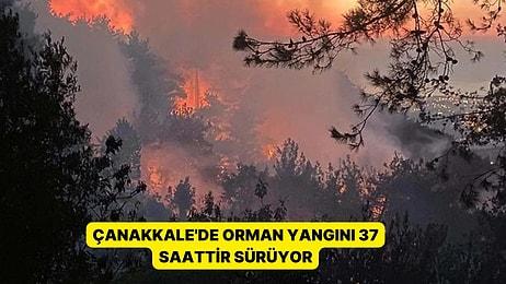 Ciğerilerimiz Yanıyor: Çanakkale’de Orman Yangını 37 Saattir Sürüyor