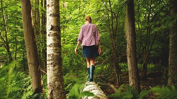 9. "Yedi yaşındaki oğlumla ormanda yürürken, ortam ürkütücü bir şekilde sessizleşti. Oğlum aniden, 'orman bir fedakarlık talep ediyor' dedi."