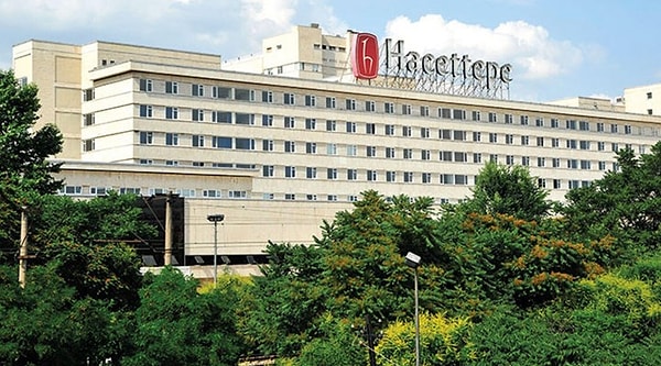 8. Hacettepe University: