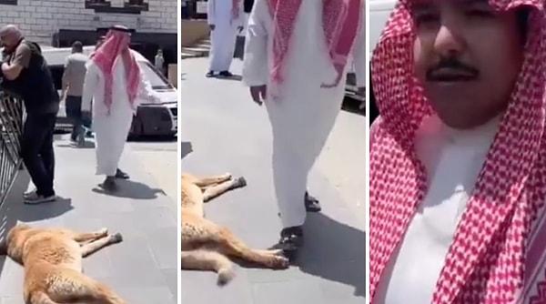 Uzungöl'de geçirdiği bir günü kaydeden Arap bir turist videosuna bir köpeği de dahil etti.