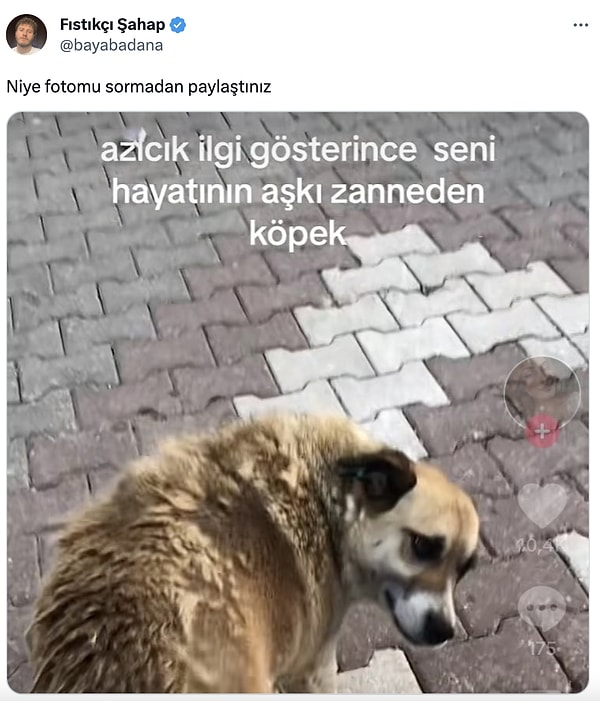 6. Ağlamıyorum...🥲