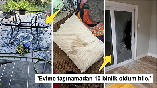 Çöle Düşse Kutup Ayılarıyla Karşılaşıp Birtakım Tatsız Olaylar Yaşayabilecek 15 Bahtsız Kişi