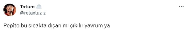 12. Dışarı adım attığın an ateş vuruyor yüze.