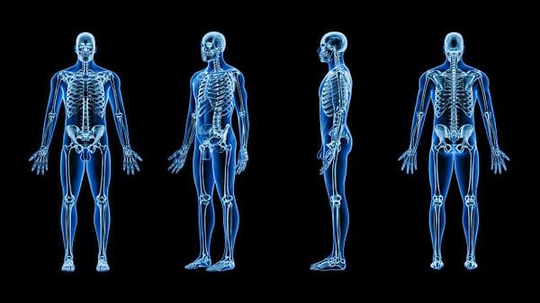 4. İnsan vücudundaki en küçük kemik nedir?