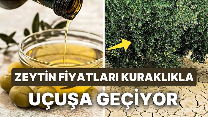 Zeytinyağı Üste Çıkıyor: Zeytin ve Zeytinyağı Fiyatları Uçuşa Geçiyor!