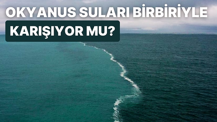 Tüm Dünya Deniz ve Okyanus Suları Birbirine Karışıyor mu?