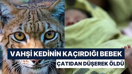 Kedinin Kaçırdığı 15 Günlük Bebek Çatıdan Düşerek Öldü