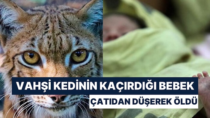 Kedinin Kaçırdığı 15 Günlük Bebek Çatıdan Düşerek Öldü