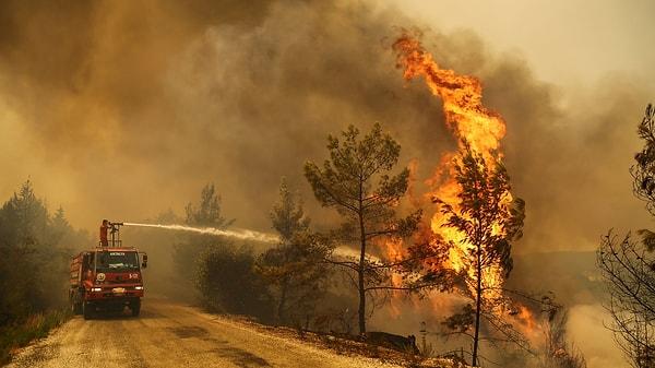 Heatwave and Unprecedented Wildfires