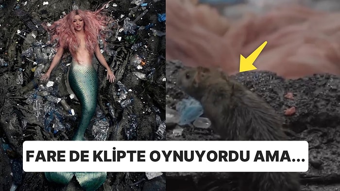 Klip Çekiminde Fare Görünce Çığlık Atan Shakira'nın Videosu Sosyal Medyada Viral Oldu