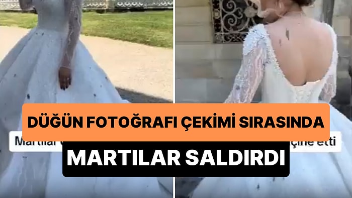 Düğün Fotoğrafı Çekimi Sırasında Martıların Saldırısına Uğrayan Gelinin Gelinliği Mahvoldu