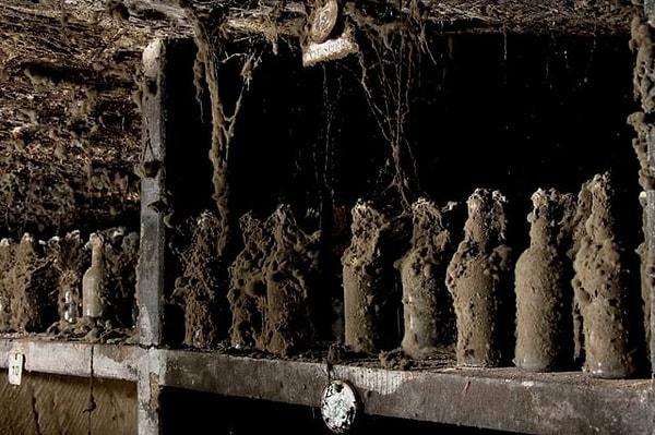 BONUS: 1780'e kadar uzanan, dünyanın bilinen en eski romunu saklayan şişeler👇