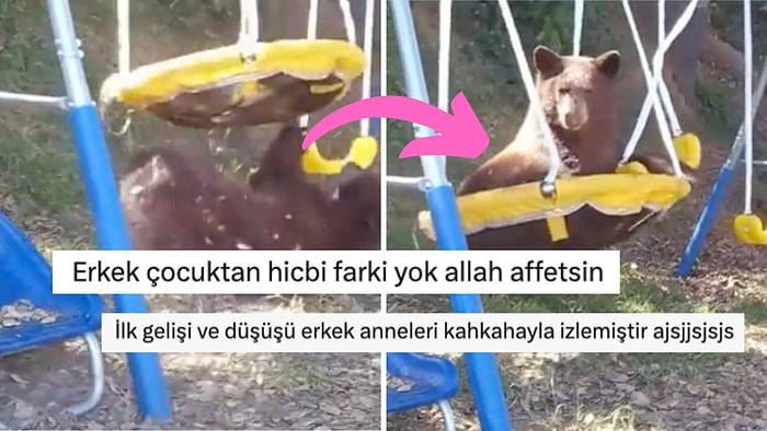 Salıncak Sefası Süren Ayının Keyif Dolu Anlarına Gelen Birbirinden Komik Yorumlar