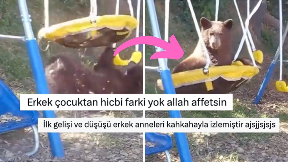 Salıncak Sefası Süren Ayının Keyif Dolu Anlarına Gelen Birbirinden Komik Yorumlar