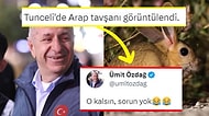 Ümit Özdağ, Tunceli'de Görüntülenen Arap Tavşanı Hakkındaki Yorumu ile Güldürdü