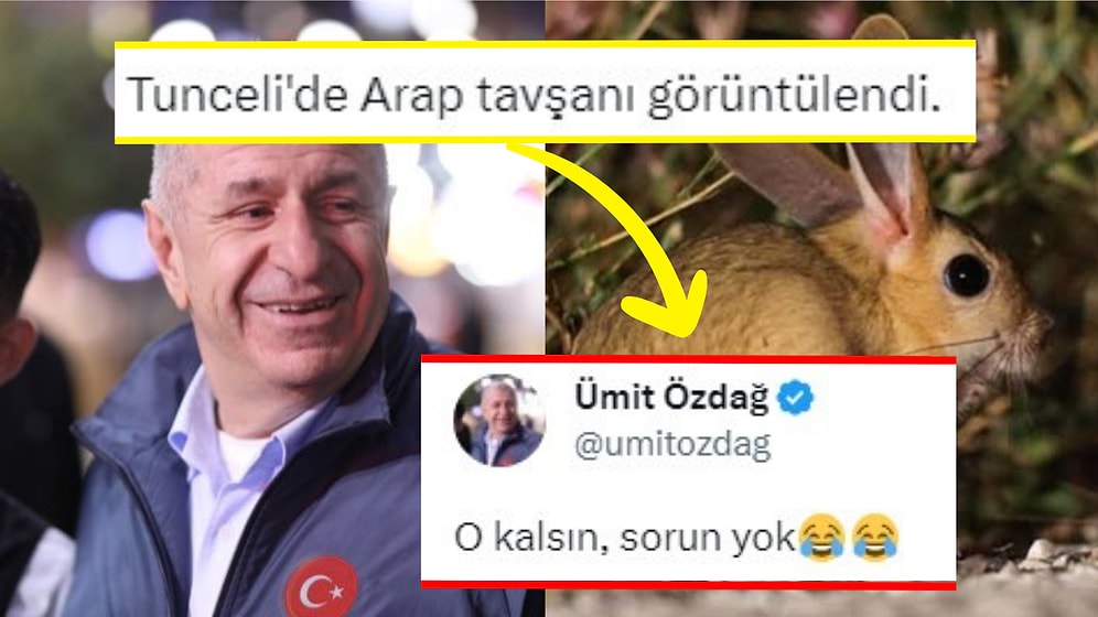 Ümit Özdağ, Tunceli'de Görüntülenen Arap Tavşanı Hakkındaki Yorumu ile Güldürdü