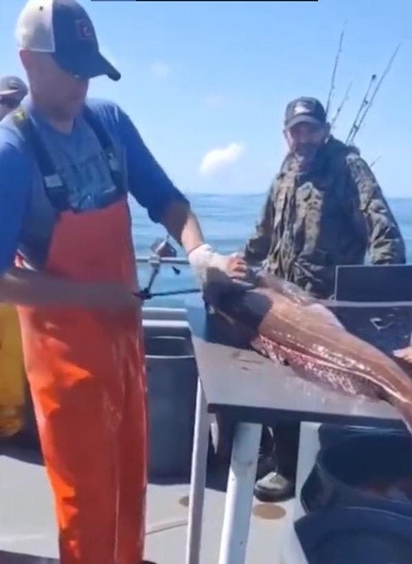 Bir balıkçı tuttuğu balığın kesimini yaptığı esnada videosunu çekerken ilginç bir şey fark etti.