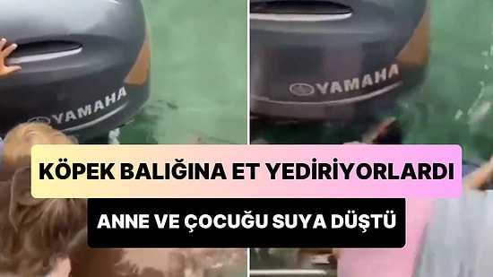 Köpek Balığını Beslemek İsterken Çocuğu ile Birlikte Suya Düşen Annenin Korkunç Anları