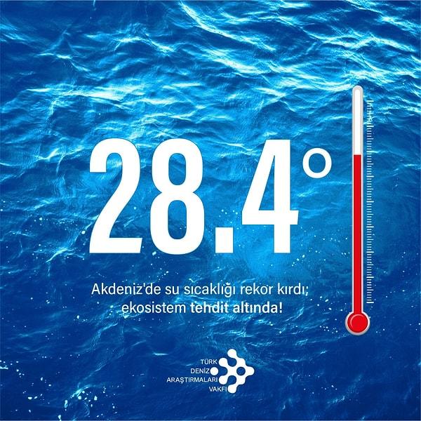 Akdeniz’de deniz suyu sıcaklığının rekor kırması sonrasında uzmanlardan endişelendiren uyarılar geldi.