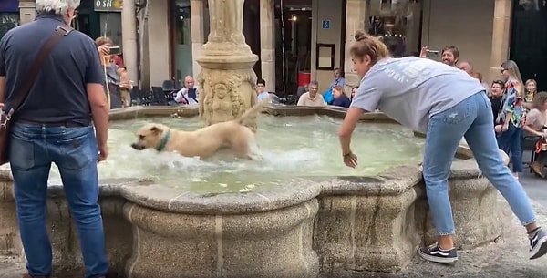 Köpek dostunu tarihi çeşmeden çıkarmak isteyen kadın ise zor anlar yaşadı.