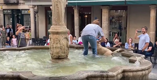 Serinlemek için çeşmeye giren köpek ve onu çıkarmaya çalışan insan dostunun o anları ise çevredekilere eğlenceli anlar yaşattı.