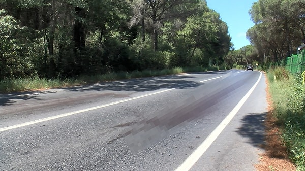 Olay saat 03.00 sıralarında Maslak Bahçeköy Yolu'nda meydana geldi. İddiaya göre, Şakir Zana ve Abdülmelik Ateş motosiklet ile seyir halinde oldukları sırada önceden aralarında husumet olan bir grup tarafından kalaşnikoflarla çapraz ateşe tutuldu.