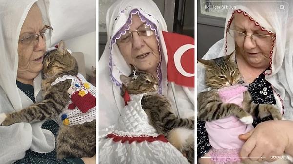 Kendini "Hayvansever bir anneanne" olarak tanımlayan Rukiş Anneanne, "rukis_anneanne" isimli TikTok hesabından kedisi Tülin ile olan videolarını paylaşıyor.