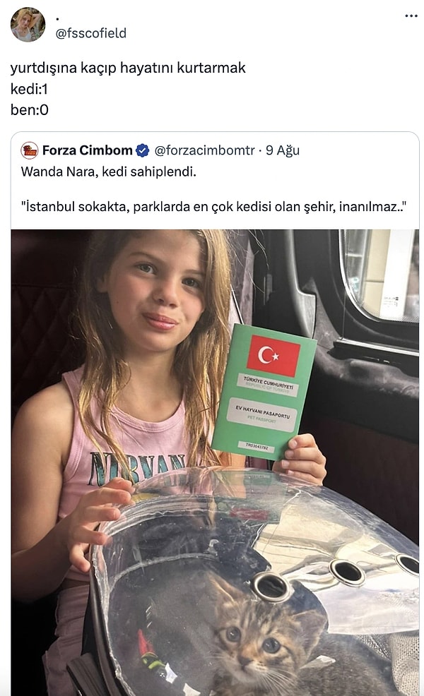 Denize giren inek bu kadar yaralamamıştı...