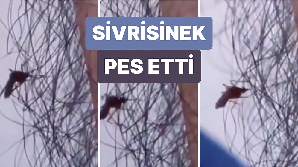 Yaz Mevsiminin Kabusu Sivrisineklerin Kıllı İnsanları Daha Az Isırdığı Bir Video ile Gösterildi