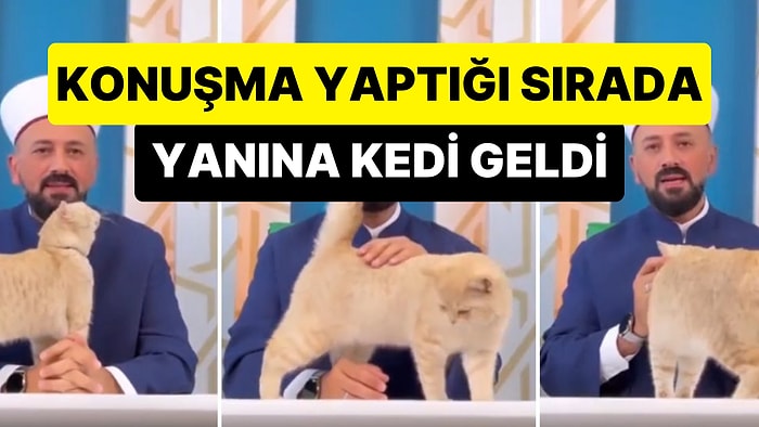 Hafız Mustafa Efe'nin Konuşma Yaptığı Sırada Yanına Gelen Kedi ile İlgilendiği Anlar Viral Oldu