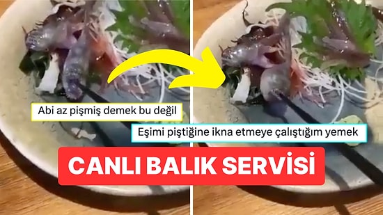 Servis Edilen Balığın Yemek Çubuğunu Isırdığı Anlara İçi Bi Tuhaf Olanlardan Gelen Yorumlar