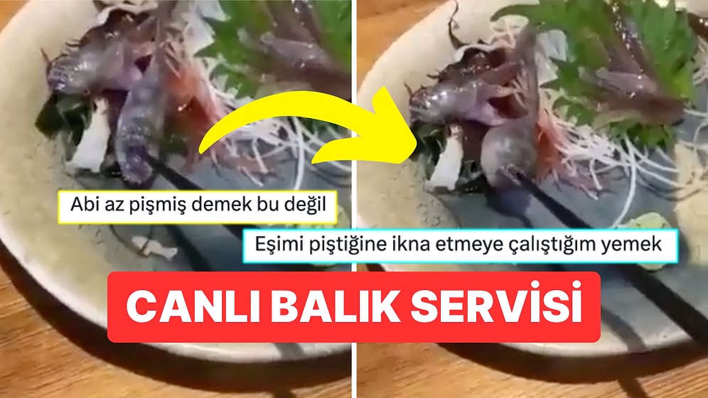 Servis Edilen Balığın Yemek Çubuğunu Isırdığı Anlara İçi Bi Tuhaf Olanlardan Gelen Yorumlar