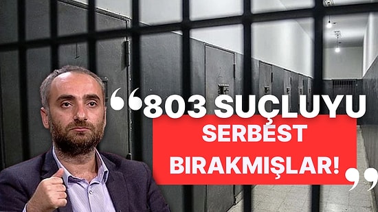 Cinayet ve Cinsel İstismar Gibi Suçlardan Yatan Yabancıların Örtülü Af ile Serbest Kaldığı İddiası Gündemde