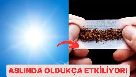 Kansere Sebep Olan Karsinojenin İçyüzü ve Bu Durumdan Kaçınmak İçin Uygulanabilecek Farklı Yöntemler