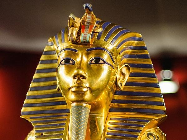Sonuç olarak McClanahan, herhangi bir büyük insan kalabalığına bakıldığında belirli bir ölüm oranı bulunacağını, bu durumun ise Tutankamon'un mezarı ile ilgili ölümlerde de geçerli olduğunu ifade ediyor.
