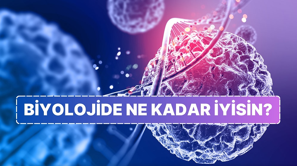 Doğanın Mühendisleri: Biyoloji Testiyle Canlıların Sırlarını Çözün