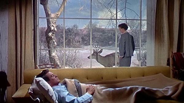 19. All That Heaven Allows, 1955