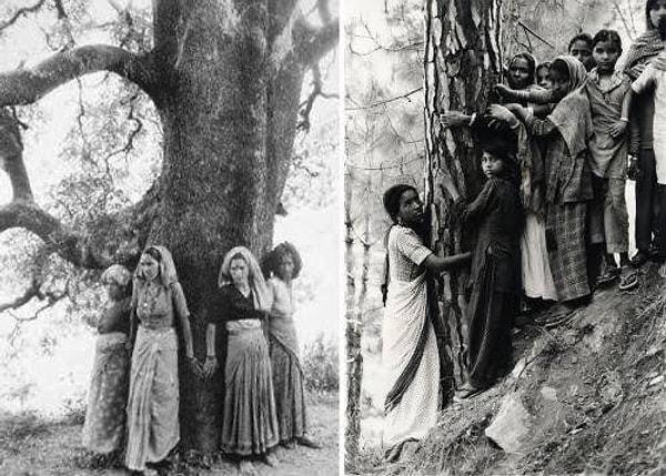 4. Her şey Chipko Hareketi'yle başladı. 1973 yılında Hindistan'daki Mandal köyünden bir grup kadın ağaçların kesilmesini önlemek için onlara sarıldı.