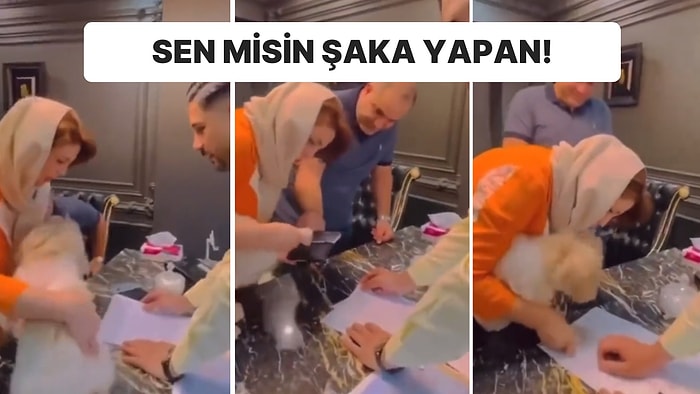 Satın Aldığı Evi Köpeğinin Üstüne Yapınca Ortalık Karıştı