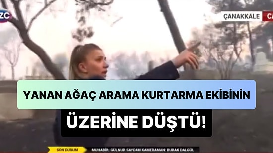 Çanakkale'de Yanan Ağaç Arama Kurtarma Ekibinin Üzerine Devrildi