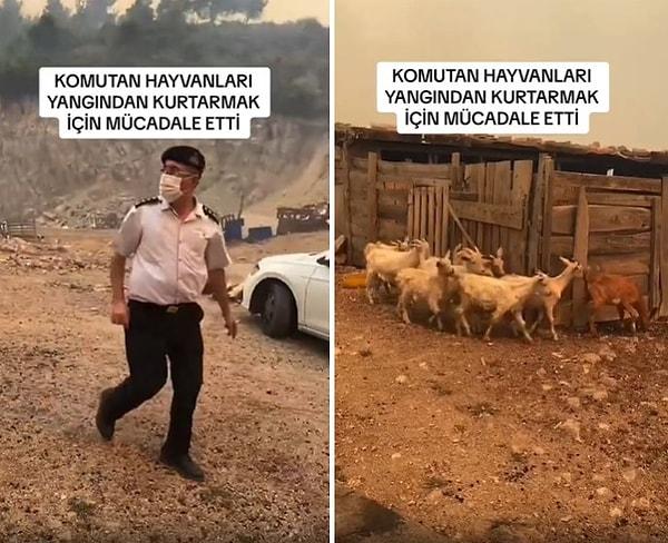 Sosyal medyada paylaşılan görüntülerde, hayvanları güvenli bir bölgeye geçirebilmek için canını hiçe sayan bir komutan görülüyor.