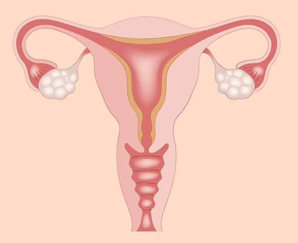 Üreme ve genital organları ile ilgili rahatsızlıklar peşinizi bırakmaz.