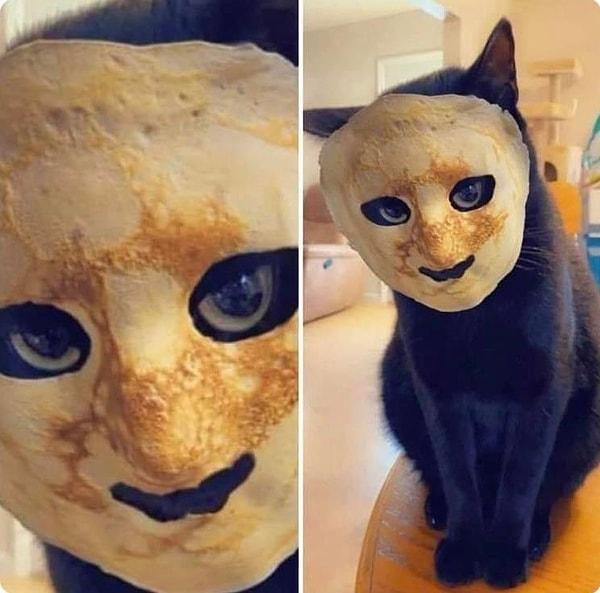 5. Yüzüne omlet yapışınca korku filmlerinden fırlamışcasına duran kedi.