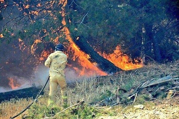 Yavaş yavaş yerleşim yerlerine doğru yaklaşan yangın binlerce kişiyi etkilerken Türkiye'nin yüreğini dağladı.